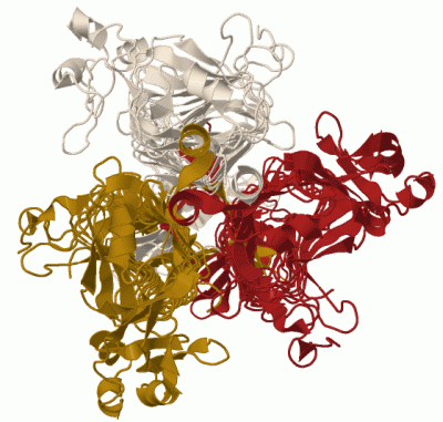 Image Biol.Unit 1 - manually