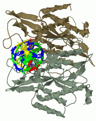 Image Biol.Unit 1 - manually