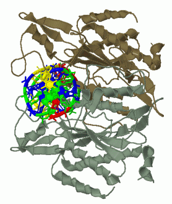 Image Biol.Unit 1 - manually