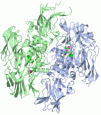 Image Asym./Biol. Unit - manually