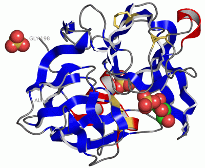 Image Asym./Biol. Unit - manually