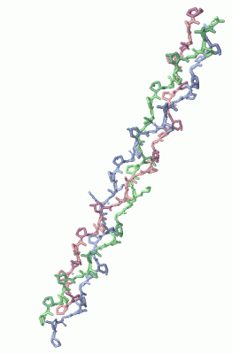 Image Asym./Biol. Unit - manually