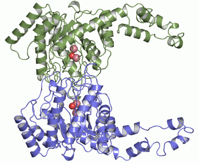 Image Asym.Unit - manually