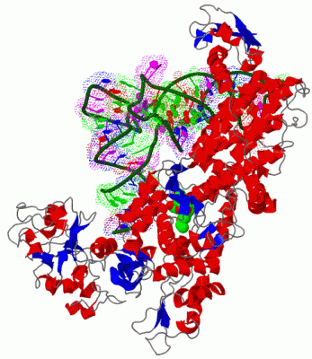 Image Asym./Biol. Unit - manually