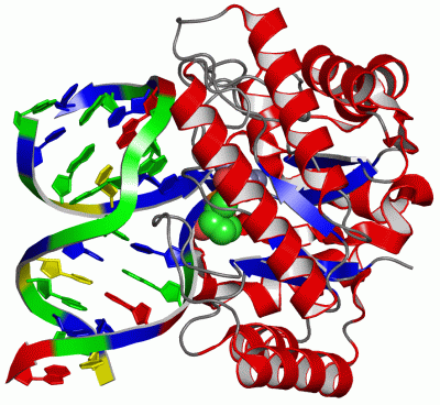 Image Asym./Biol. Unit - manually