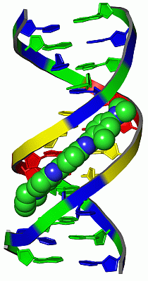 Image Asym./Biol. Unit - manually