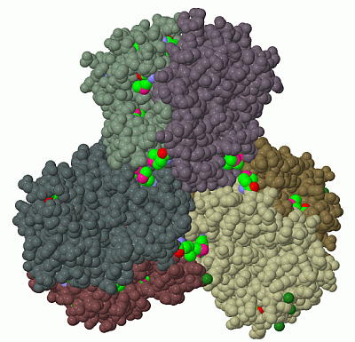 Image Biol.Unit 1 - manually