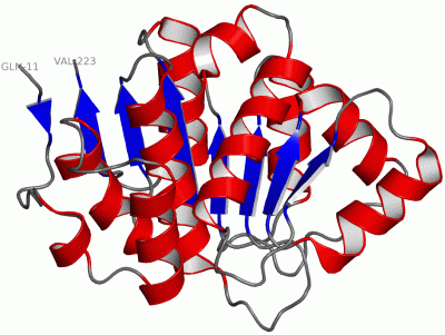 Image Asym./Biol. Unit - manually