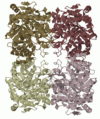 Image Biol.Unit 1 - manually