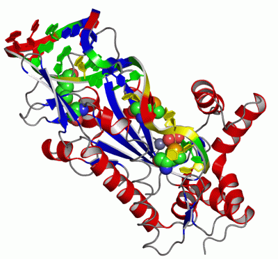 Image Asym./Biol. Unit - manually