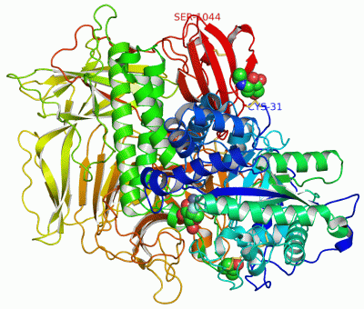 Image Asym./Biol. Unit - manually