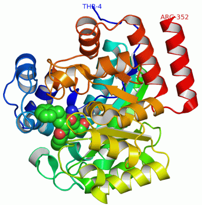 Image Asym./Biol. Unit - manually