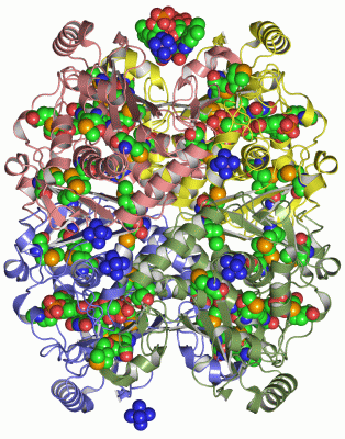 Image Asym./Biol. Unit - manually