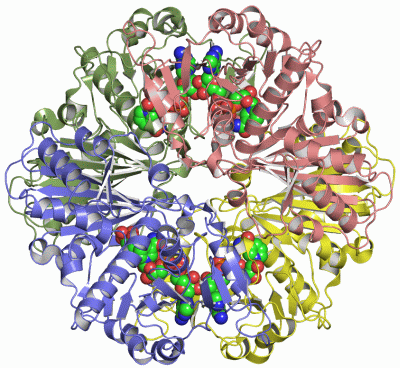 Image Asym./Biol. Unit - manually