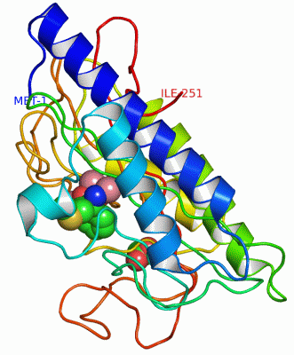 Image Asym./Biol. Unit - manually