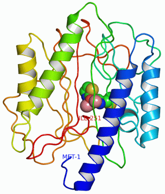 Image Asym./Biol. Unit - manually