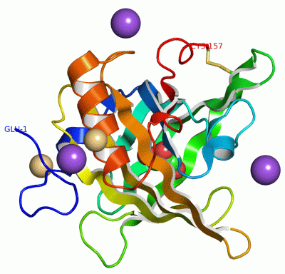 Image Asym./Biol. Unit - manually