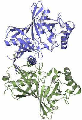 Image Asym./Biol. Unit - manually
