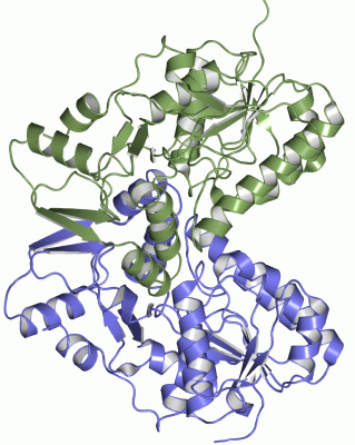 Image Asym./Biol. Unit - manually