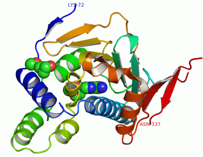 Image Asym./Biol. Unit - manually