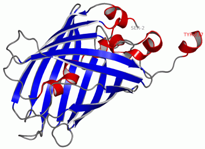 Image Asym./Biol. Unit - manually