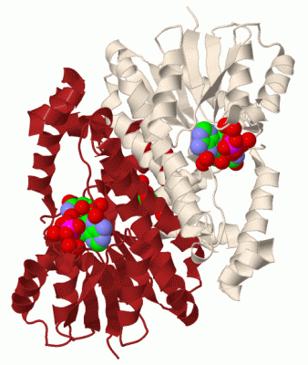 Image Biol.Unit 1 - manually