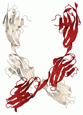 Image Biol.Unit 1 - manually