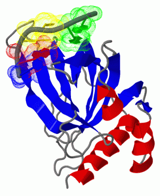 Image Biol.Unit 1 - manually