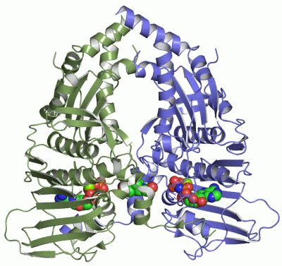 Image Asym./Biol. Unit - manually