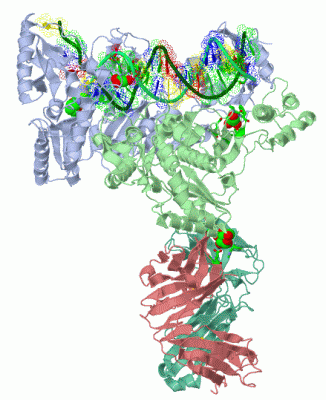 Image Asym./Biol. Unit - manually