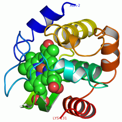 Image Asym./Biol. Unit - manually