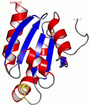 Image Asym./Biol. Unit - manually