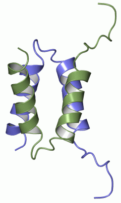 Image NMR Structure - manually