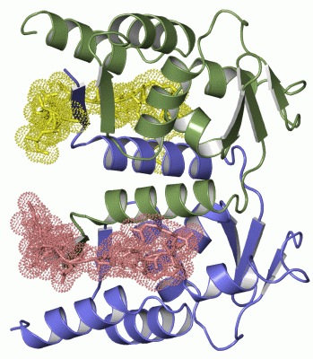 Image Asym./Biol. Unit - manually