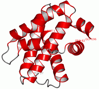 Image Asym./Biol. Unit - manually