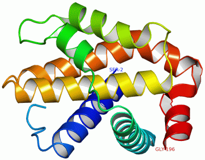 Image Asym./Biol. Unit - manually