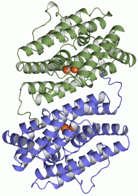 Image Asym./Biol. Unit - manually