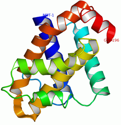 Image Asym./Biol. Unit - manually