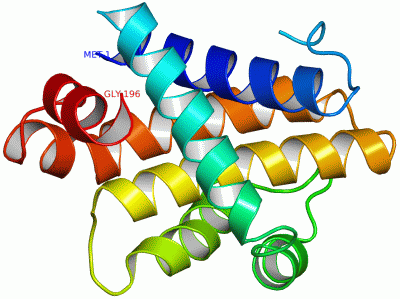 Image Asym./Biol. Unit - manually