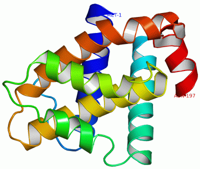 Image Asym./Biol. Unit - manually