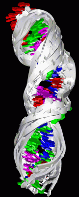 Image NMR Structure - manually