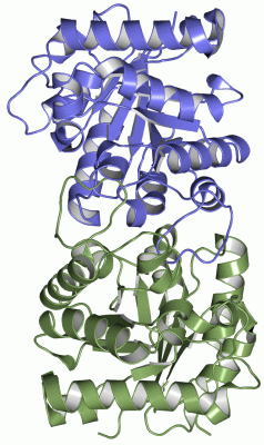 Image Asym./Biol. Unit - manually