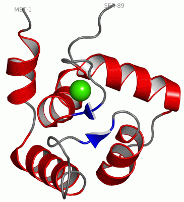 Image NMR Structure - manually