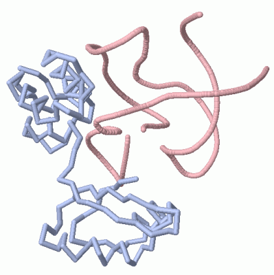 Image Asym./Biol. Unit - manually