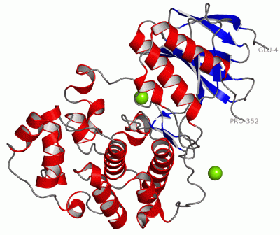 Image Asym./Biol. Unit - manually