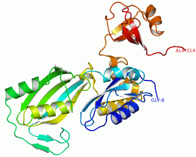 Image Asym./Biol. Unit - manually