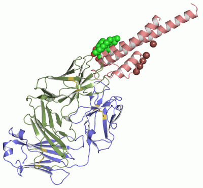 Image Asym.Unit - manually