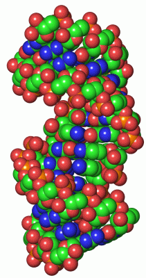 Image Asym./Biol. Unit - manually