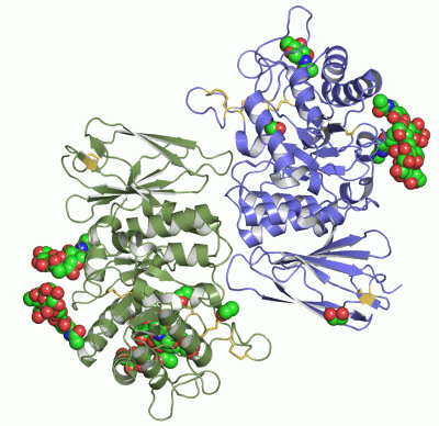 Image Asym./Biol. Unit - manually