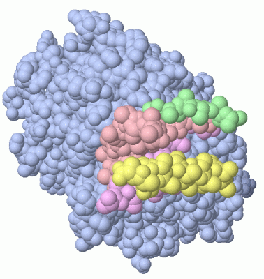 Image Asym./Biol. Unit - manually